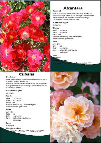 Screenshot Layout Ziel