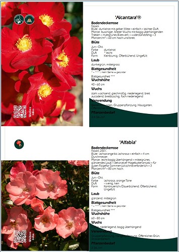 Screenshot Layout ist